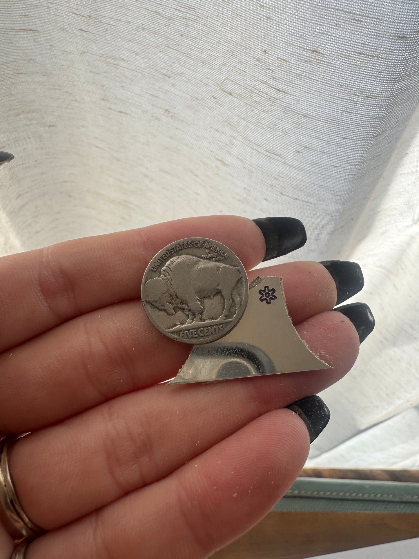 Nicole’s Custom Branded Cow Pony