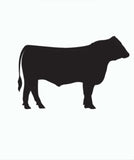 Jess’ Custom Class Ring